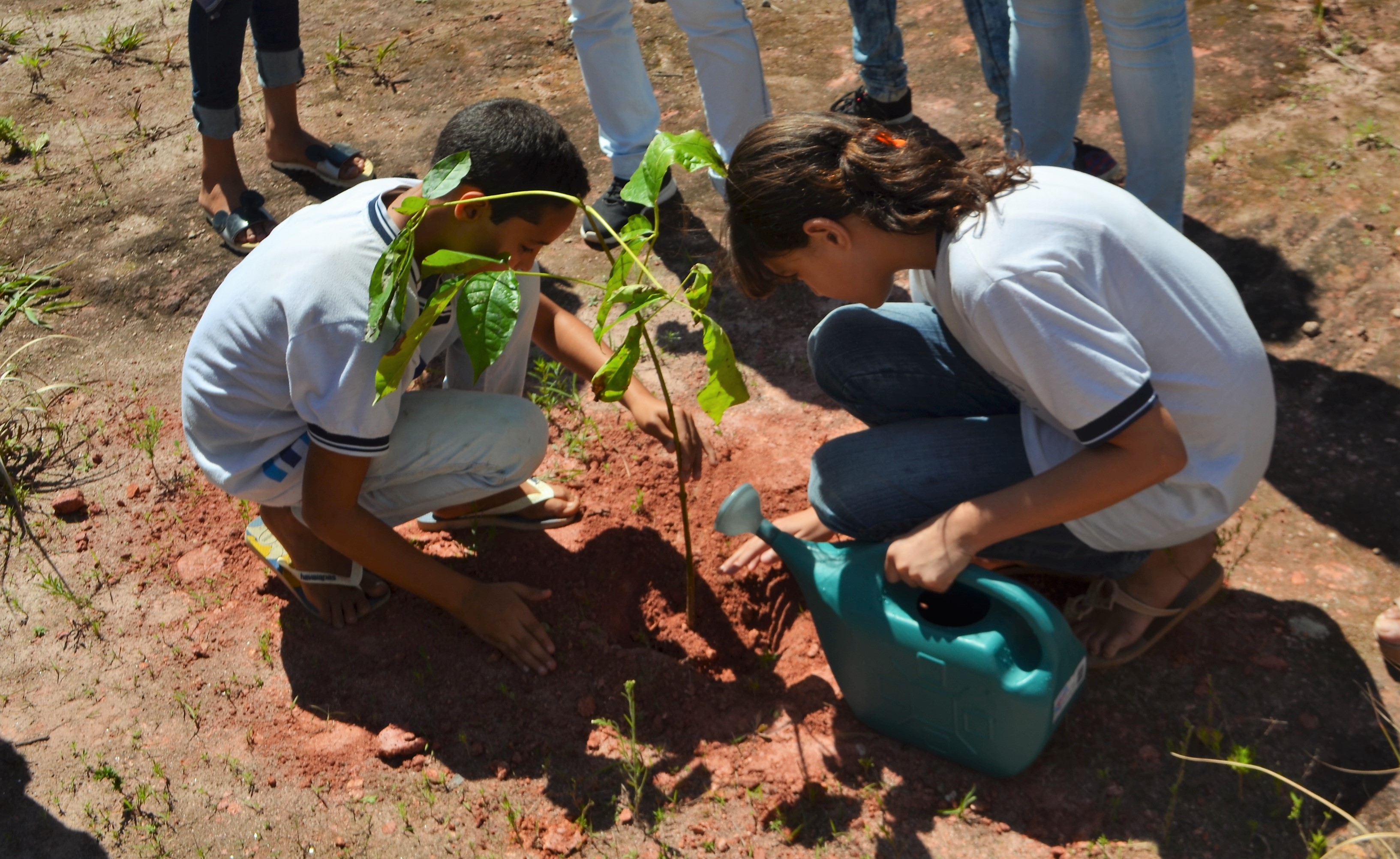 Escola de Palmares Promove Educação Ambiental.